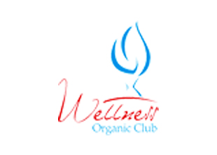 222_310-pixel-logo-wellness